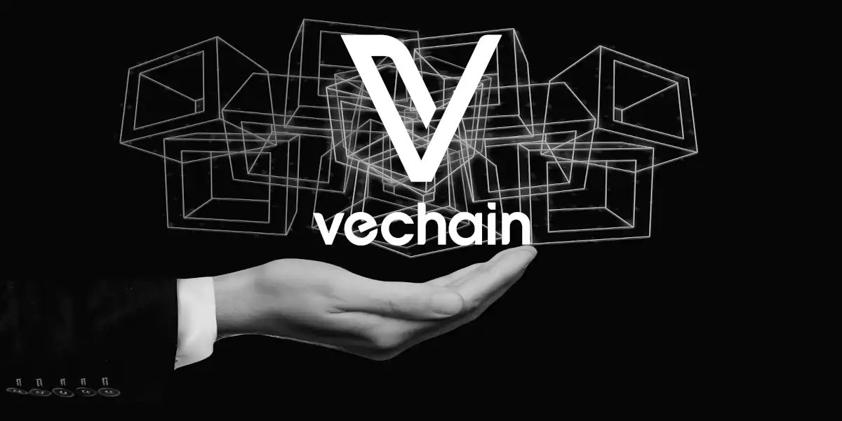 ارز دیجیتال Vechain (VET) و آموزش خرید از صرافی LBank